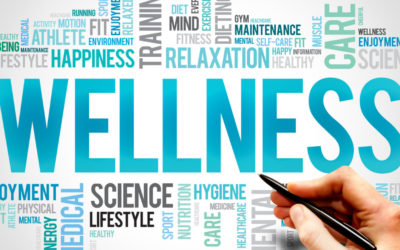 How to Build a Successful Corporate Wellness Program?